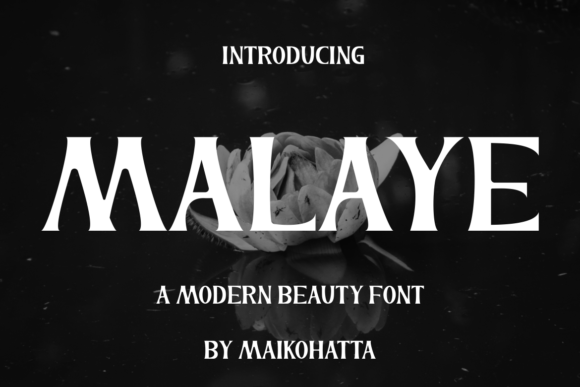 Why Malaye Display Font Makes Campaign Headlines Instantly Recognizable